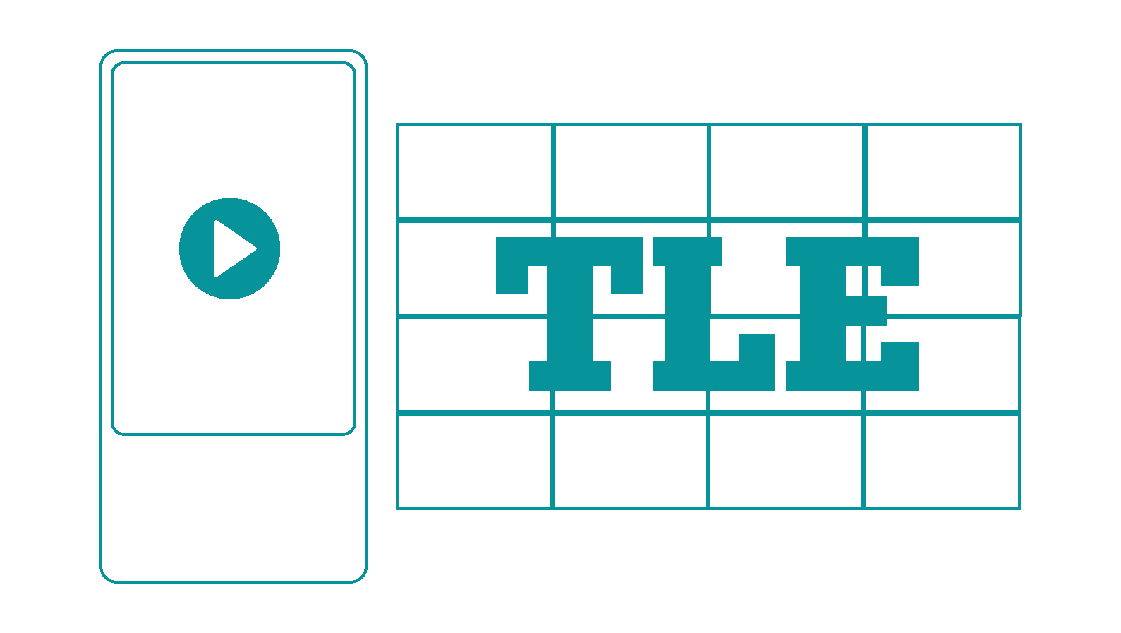 Video & Display Equipment