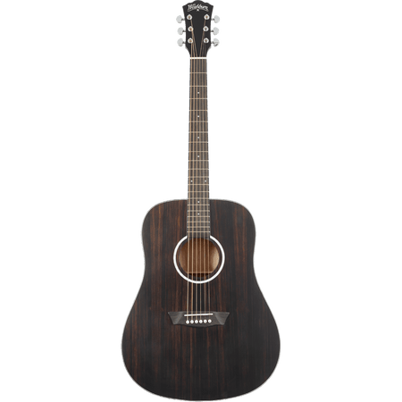 Washburn Deep Forest Ebony D Acoustic Guitar