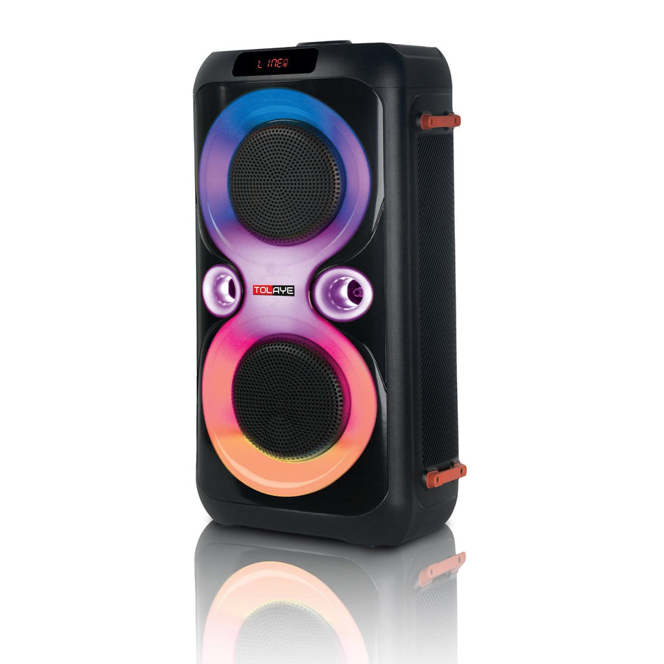 Tolaye TED6600 Portable Speaker