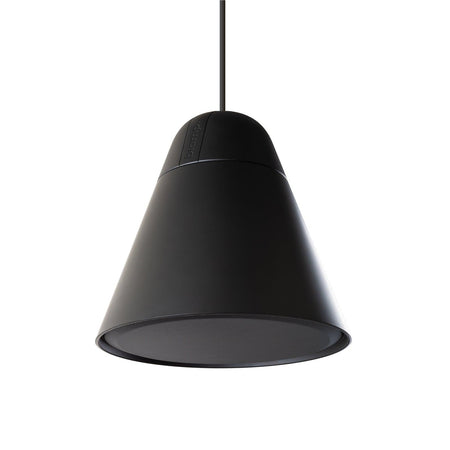 Biamp P30DT Pendant Loudspeaker 1x4.5" 70-100V / 30W, 16 ohms / 50W