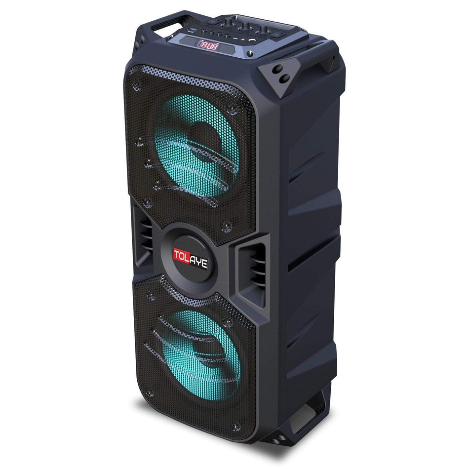 Tolaye TED601 Portable PA System